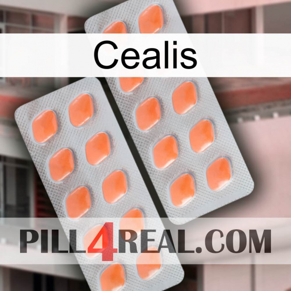 Cealis 27.jpg